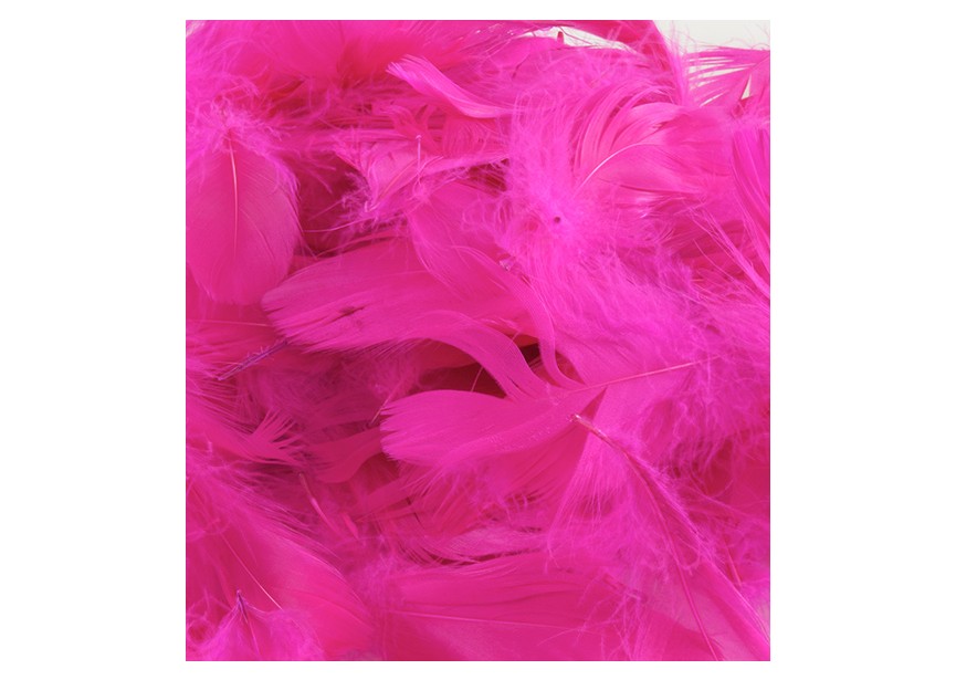 sempertex-europe-balloons-latex-distributor-ballonnen-foil-anagram-betallic-Accesoires-Feathers-Fuchsia-