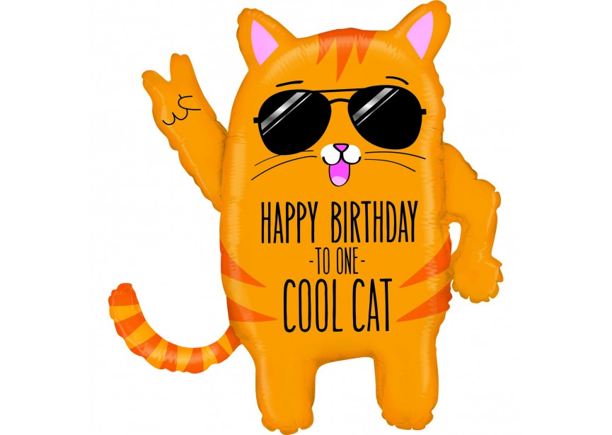 Sempertex-Folie-Betallic-Anagram-Flexmetal-Balloons-Shape-cool cat birthday