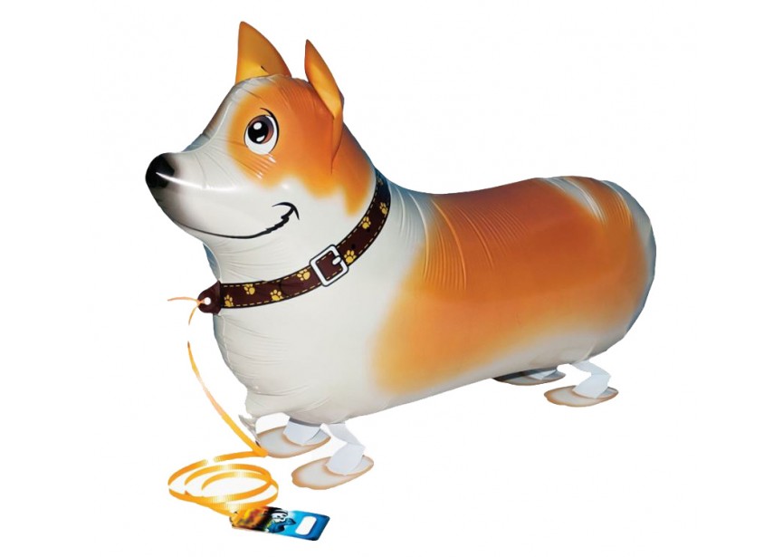 Sempertex-Folie-Betallic-Anagram-Flexmetal-Balloons-Shape- Walking balloon Corgi